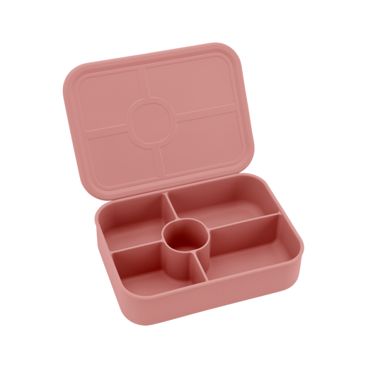 5-Compartment Bento Boxes